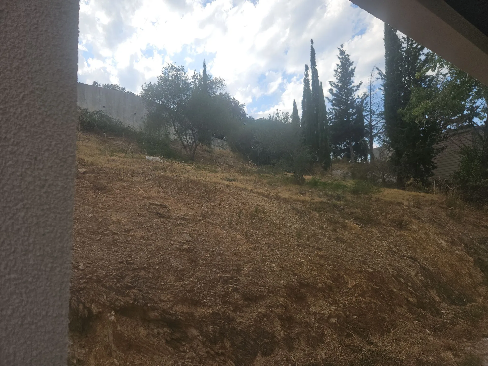 Le même terrain après débroussaillement : sol remis à nu, abords dégagés le long du mur, arbres conservés